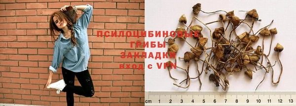 соль курить ск Балахна