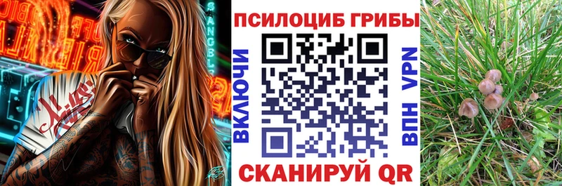 наркотики  Тутаев  Галлюциногенные грибы Cubensis 